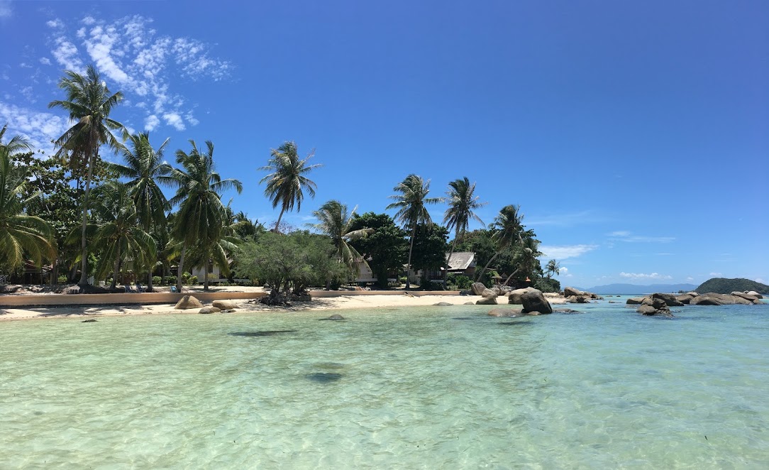 IMG 0594 1