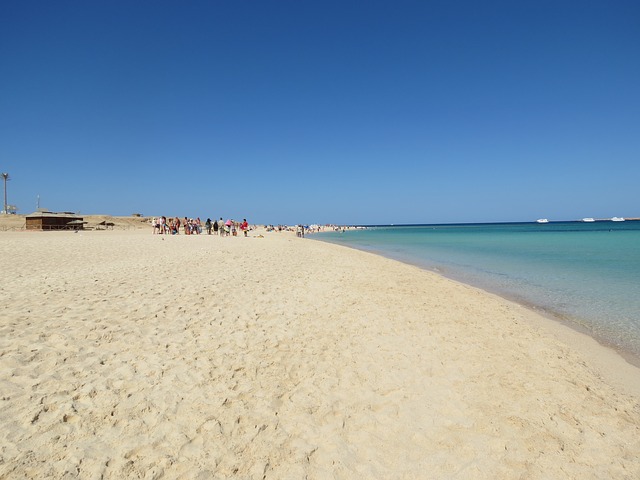 kam do egypta