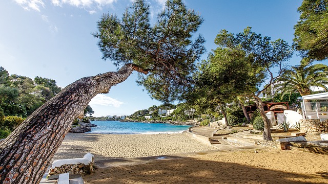 kam na mallorce