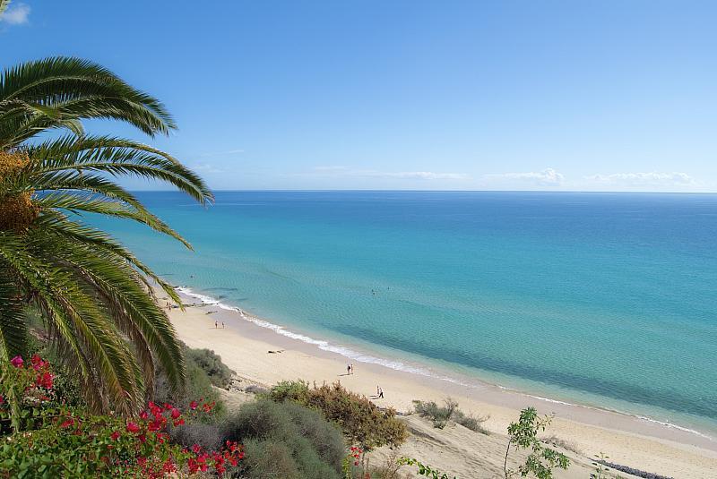 fuerteventura dovolená