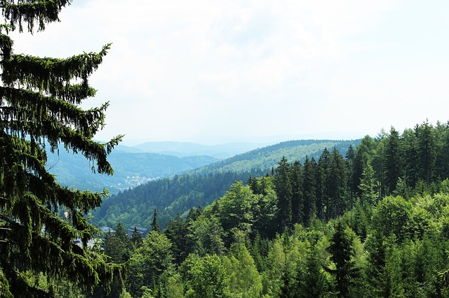 krkonoše