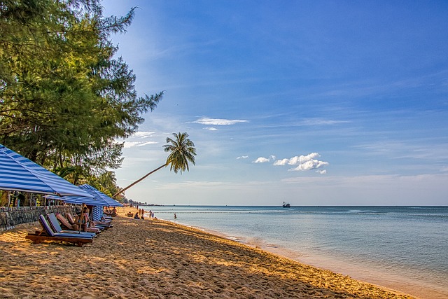 vietnam z prahy